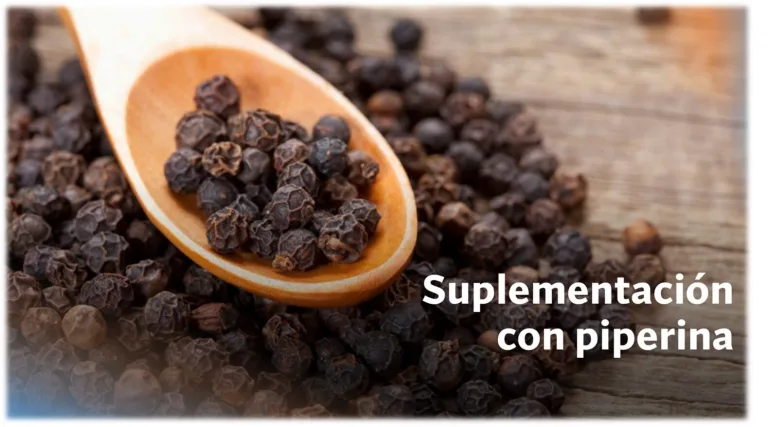 suplementación con peperina