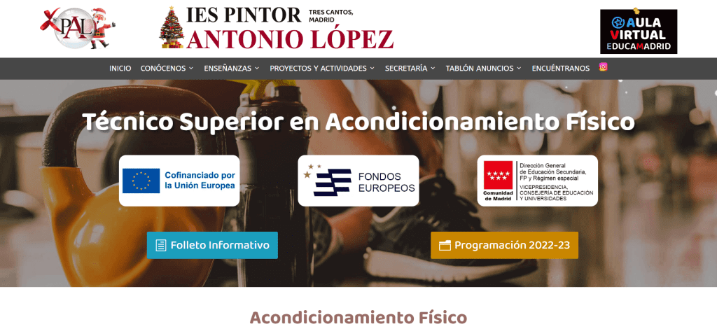 Web del IES Pintor Antonio López 