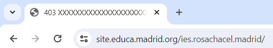 Web del IES Rosa Chacel