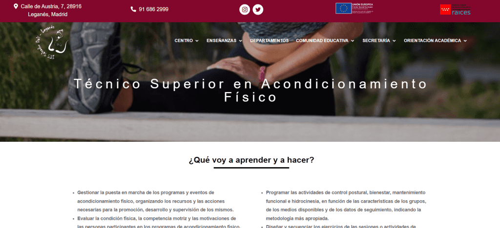 Web del IES Salvador Dalí