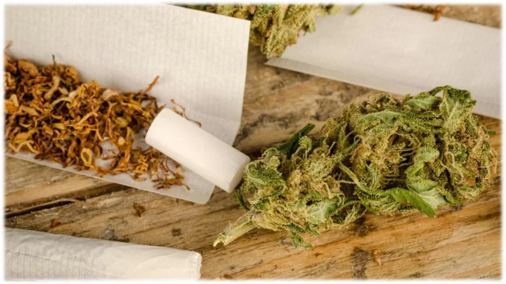 marihuana vs tabaco