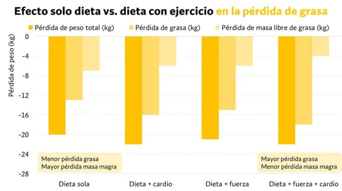 Cómo ganar masa muscular en endomorfos (dieta y entrenamiento) 7 dietas con ejercicios