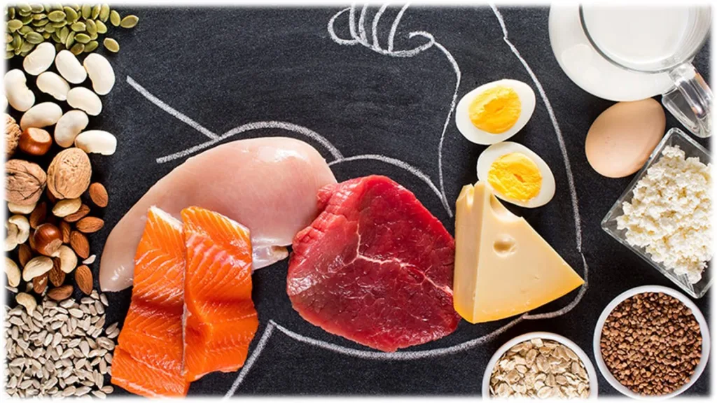 Cómo ganar masa muscular en endomorfos (dieta y entrenamiento) 13 hay dietas para endomorfos