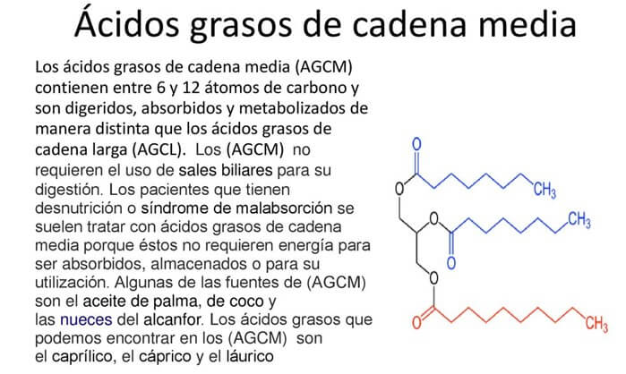 principales beneficios del aceite de coco