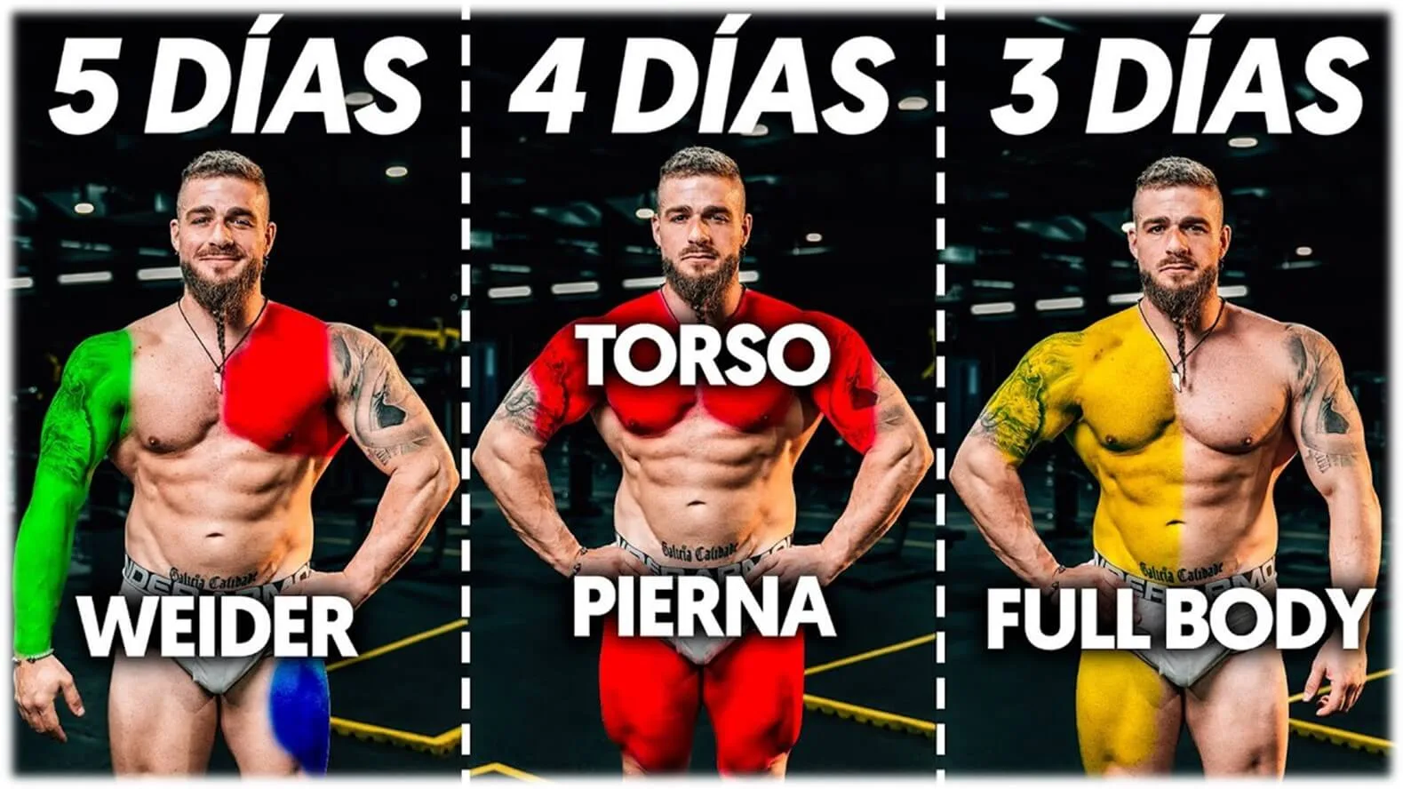 mejor rutina para ganar músculo