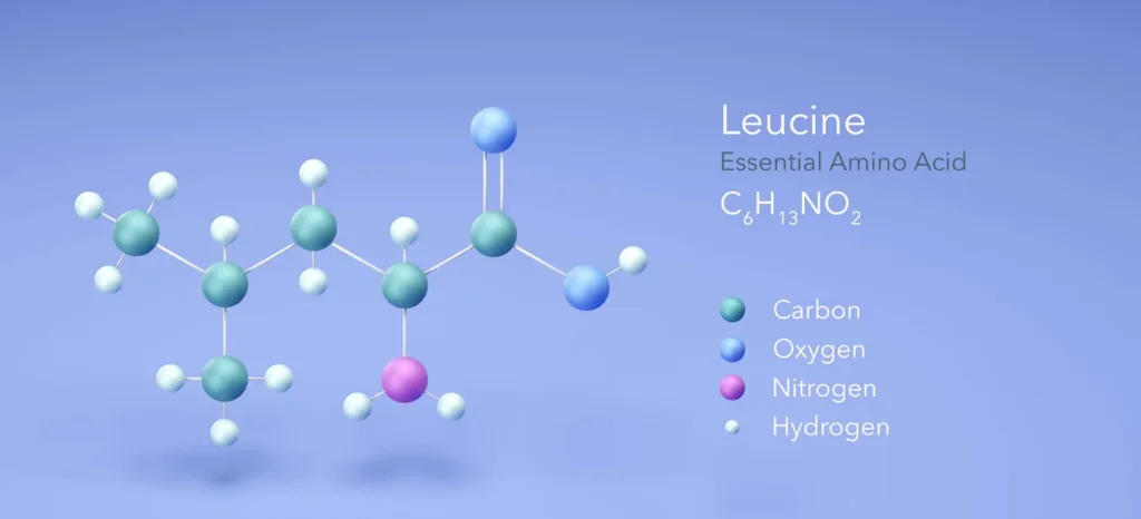 que es la L-leucemia