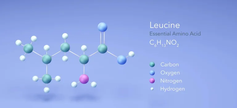 que es la L-leucemia