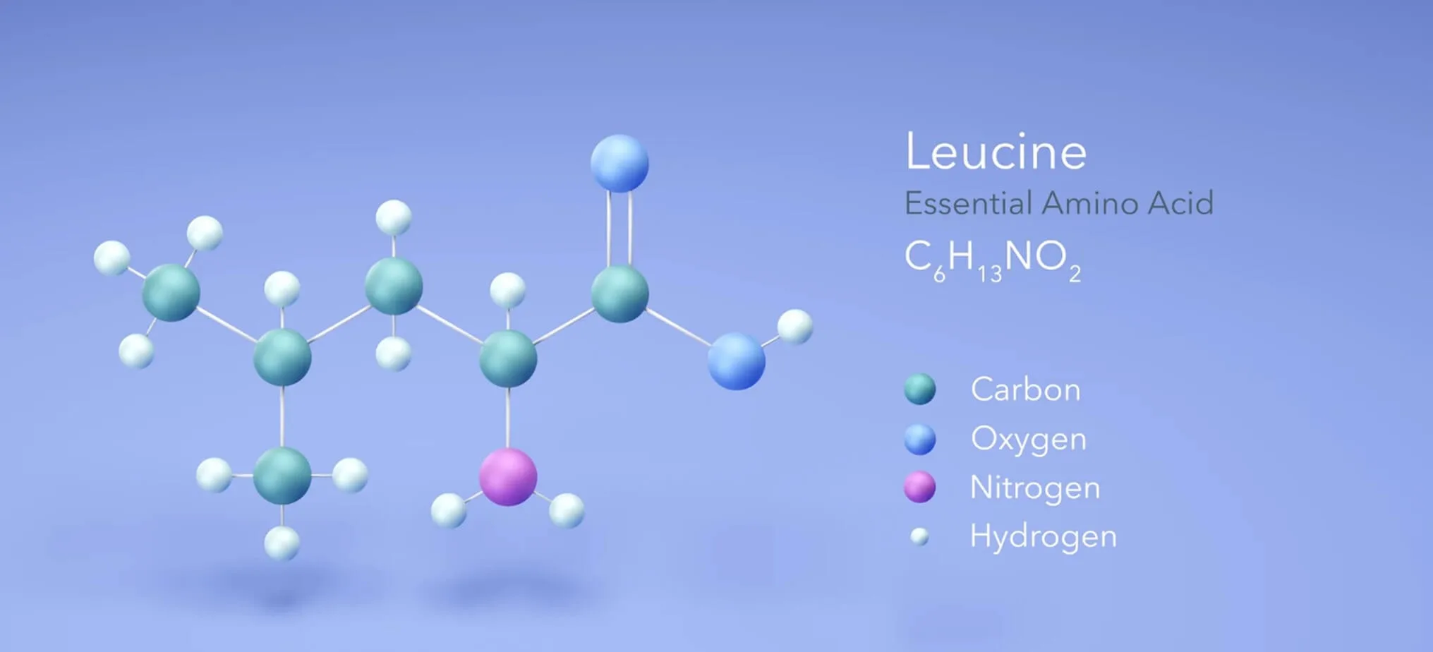 que es la L-leucemia