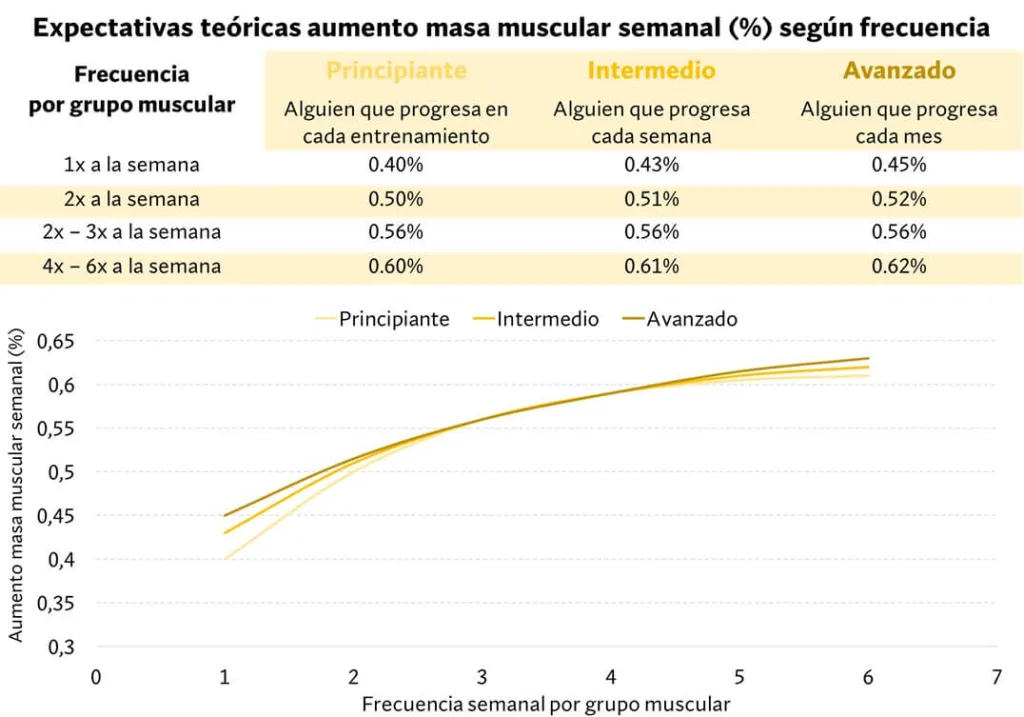¿Cuál es la mejor rutina para ganar músculo? - Según la ciencia 19 ganancia musculara semanal