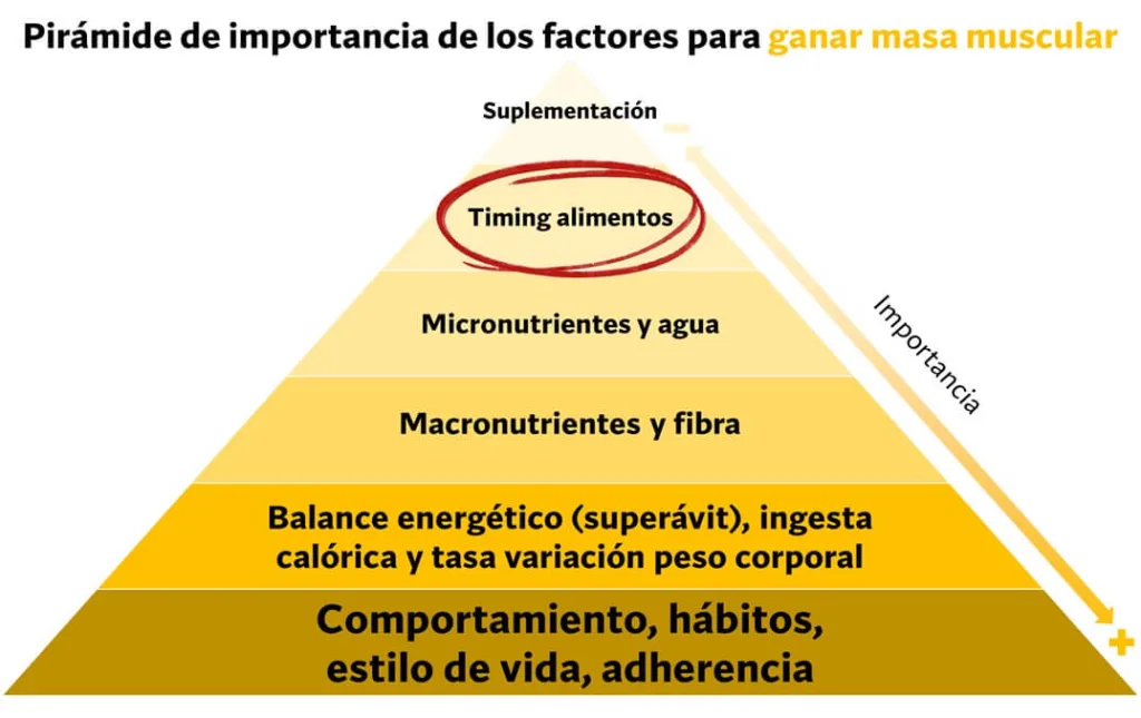 factores para ganar masa muscular