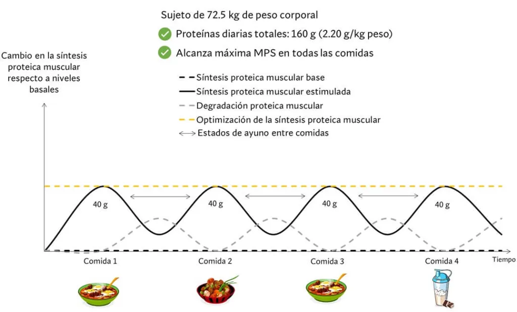distribución de las proteínas