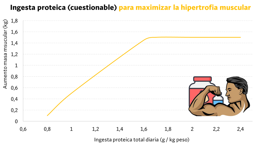 Imagen33