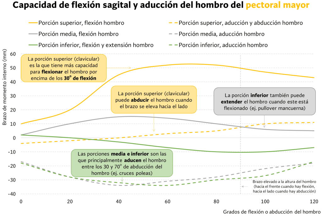 Flexión sagital y aducción del hombro