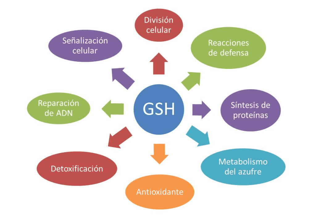 Reacciones por suplementos 