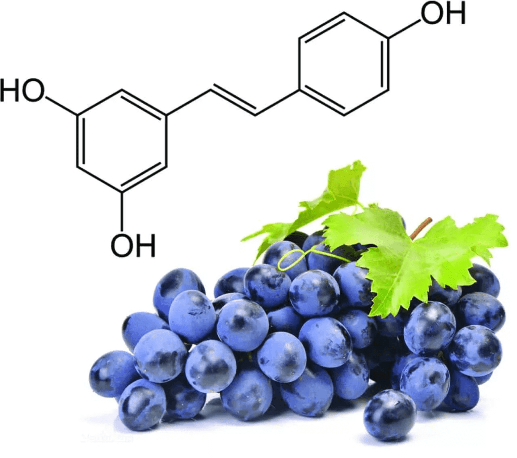 Nutriente resveratrol