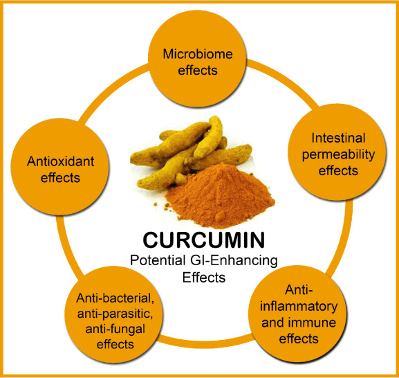 La curcumina