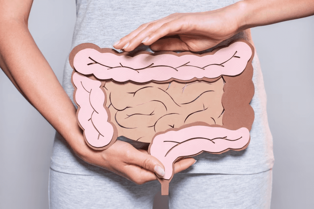 Probióticos para salud intestinal