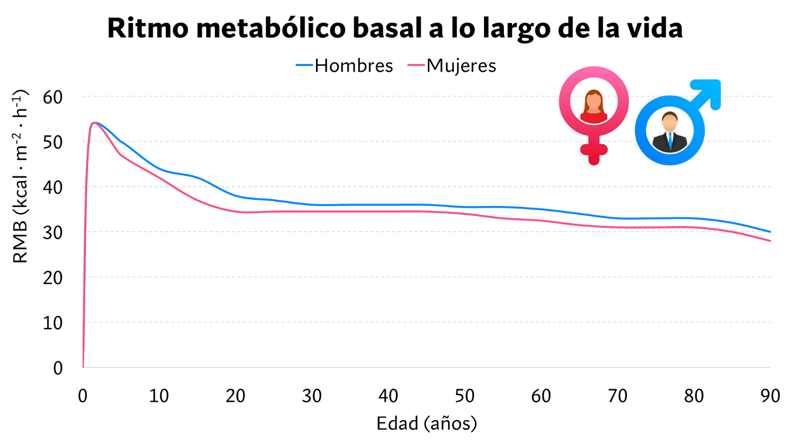 ritmo metabolico basal a lo largo de la vida