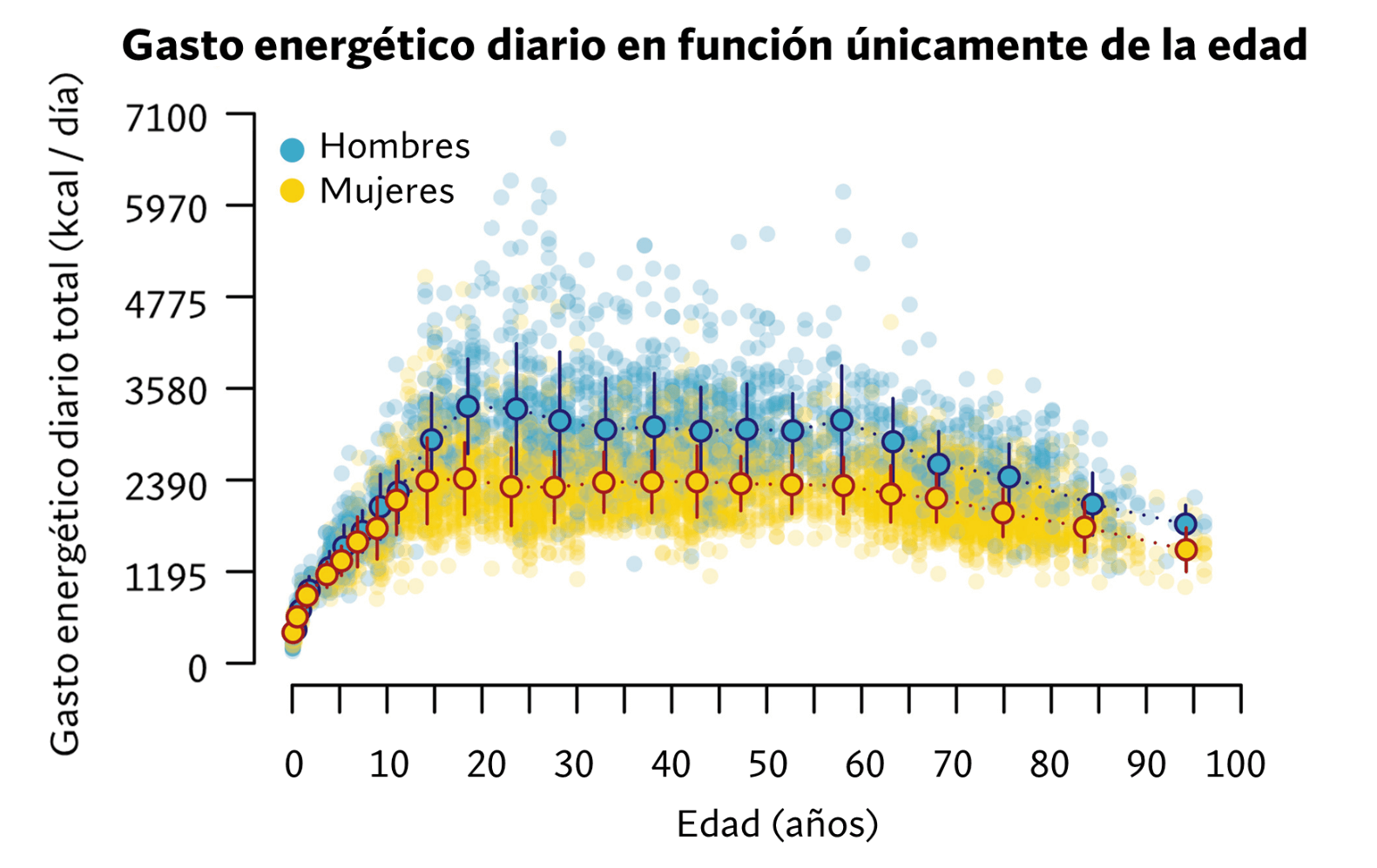 Gasto energético diario en función de la edad