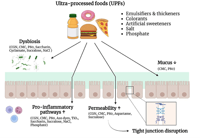 Dieta alta en ultraprocesados