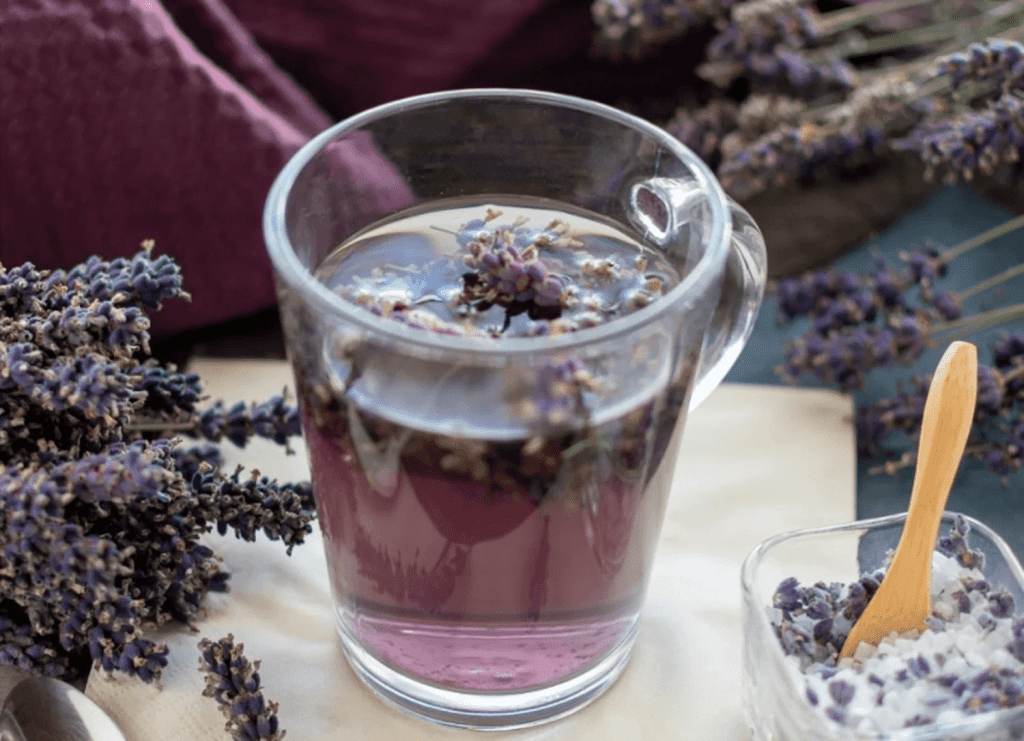 Lavanda hacer infusiones
