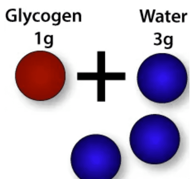 Recarga de glucógeno muscular, ¿en qué consiste? 11 336ac353bf0de522fd6c41d5d87c270c