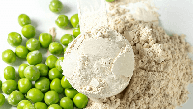 Proteína de guisante en polvo
