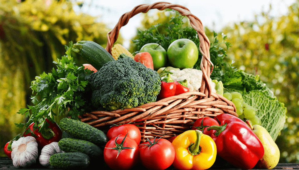 ¿Qué alimentos aportan más energía al cuerpo? 9 Alimentos encontrar vitamina A