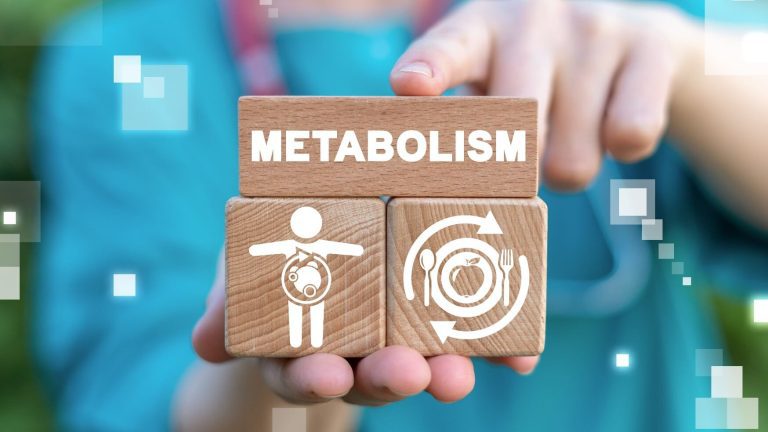 Ralentizar el metabolismo