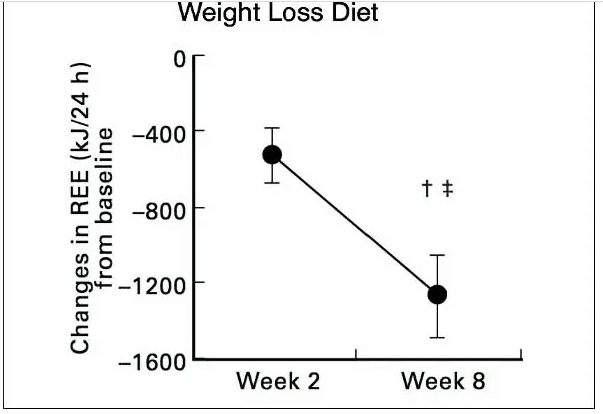 5 cosas que ralentizan el metabolismo 3 Estudio de Doucet, E. et al.,2001