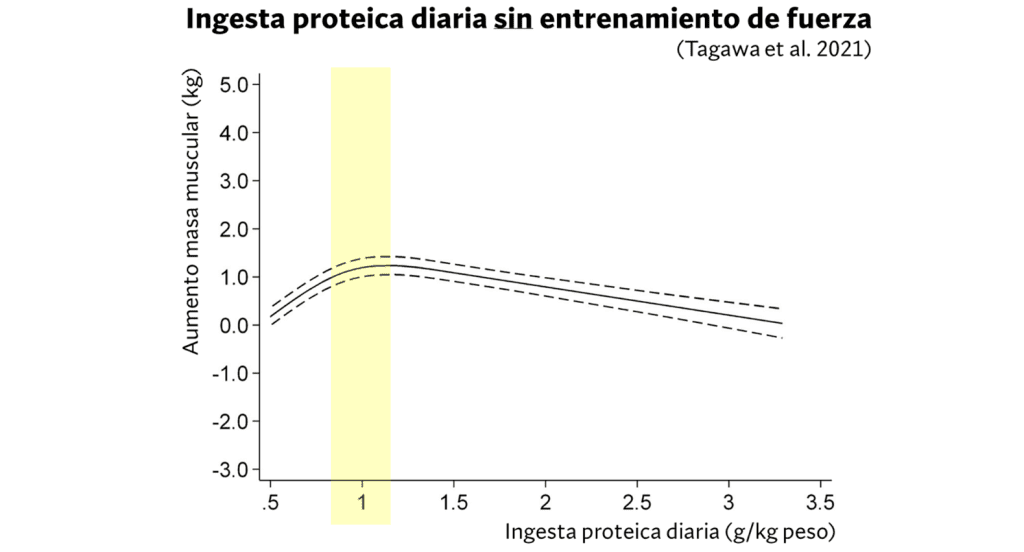 ¿Cuánta proteína debo consumir para ganar músculo? Nuevas investigaciones. 11 Ingesta proteica sin entrenamiento