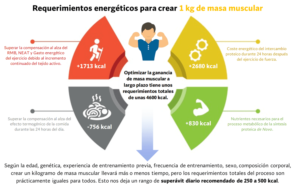 Requerimientos energéticos necesarios