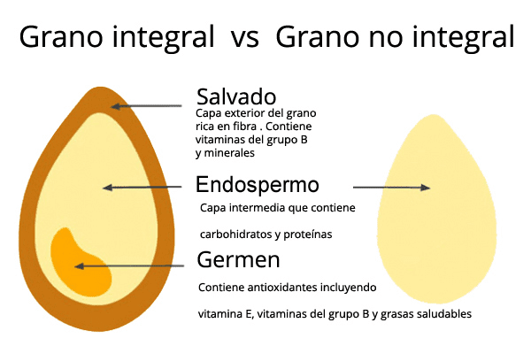 Comparación con Carbohidratos Refinados