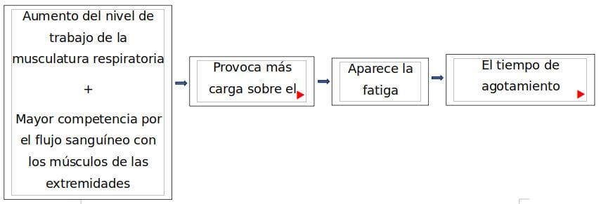 flato 2