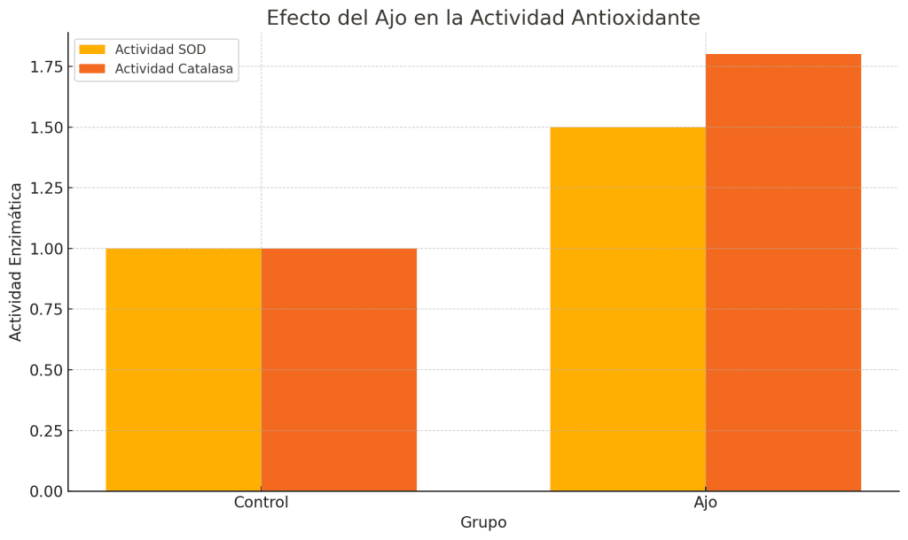 Beneficios del ajo para la salud 9 Efecto antioxidante ajo