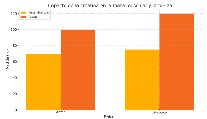 Impacto creatina en masa muscular