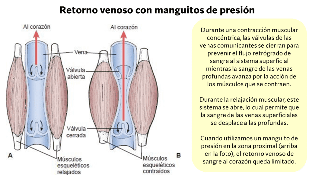 bandas de oclusion 5