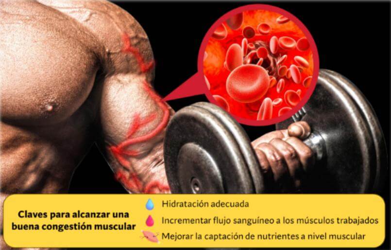 Alcanzar buena congestión muscular