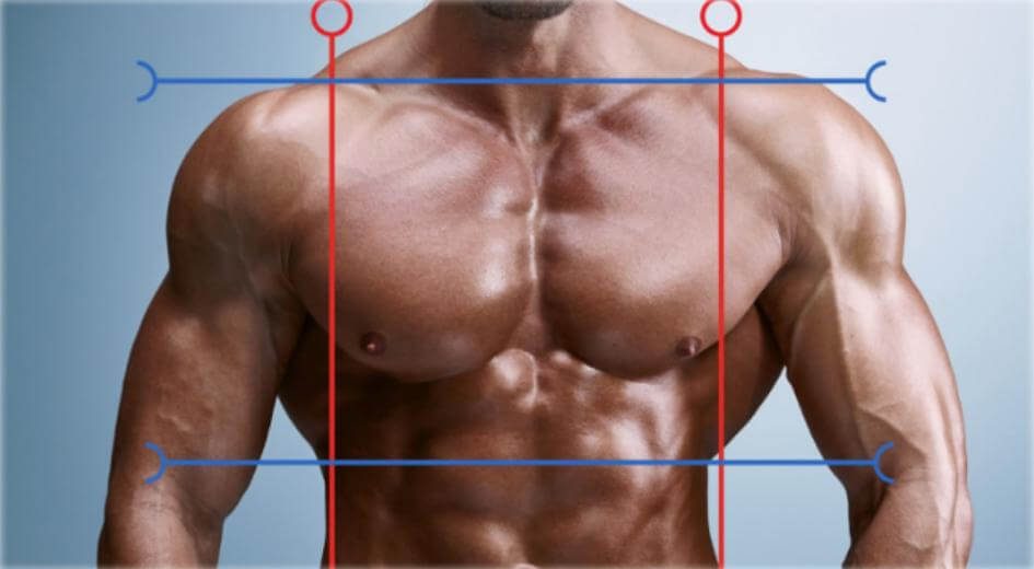 Desequilibrios y asimetrías musculares
