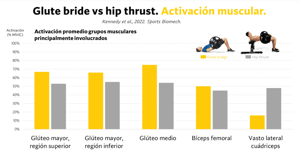 Glute bridge vs. hip thrust sin peso 