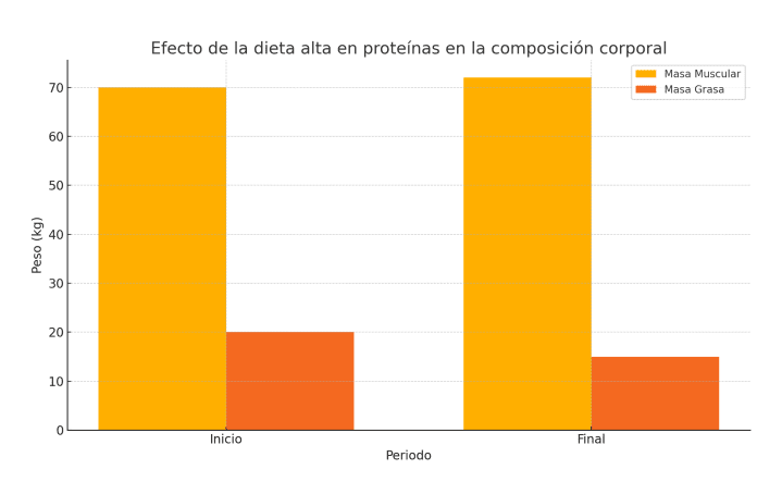 Efecto de la dieta alta en proteínas