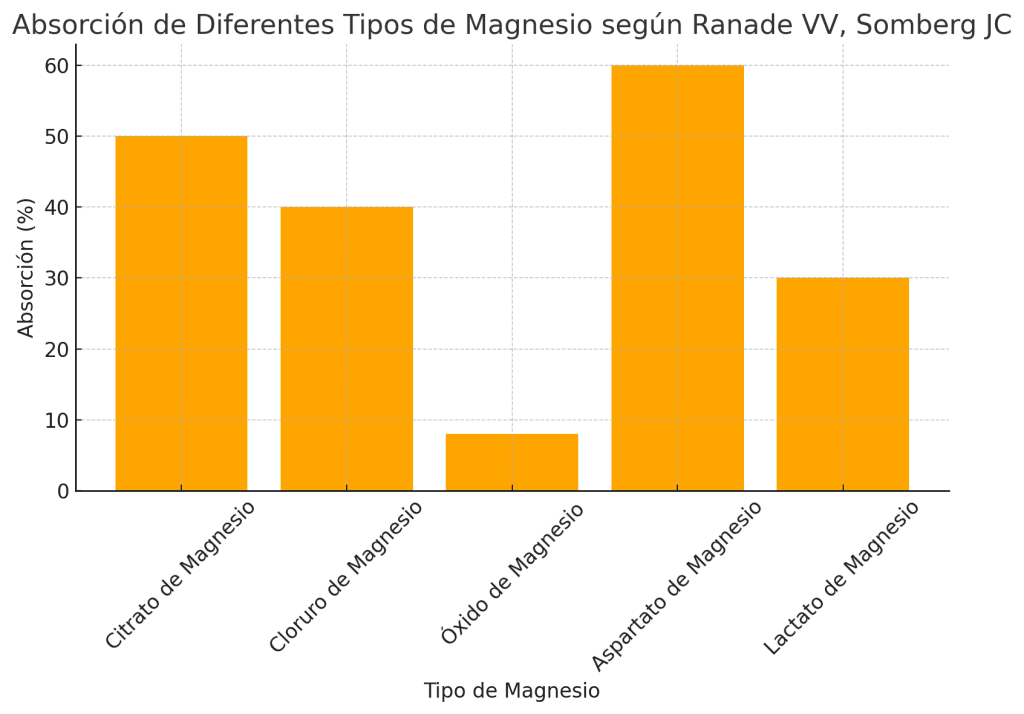¿Cuál es el mejor tipo de magnesio para deportistas? 3 Tipos de magnesio y su absorción