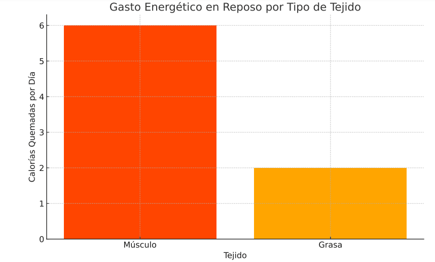 Gasto energético tipo de tejido