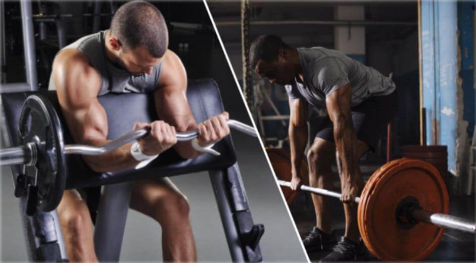 ¿Cuánto tiempo tarda el músculo en recuperarse de un entrenamiento? 13 Peso muerto vs curl femoral