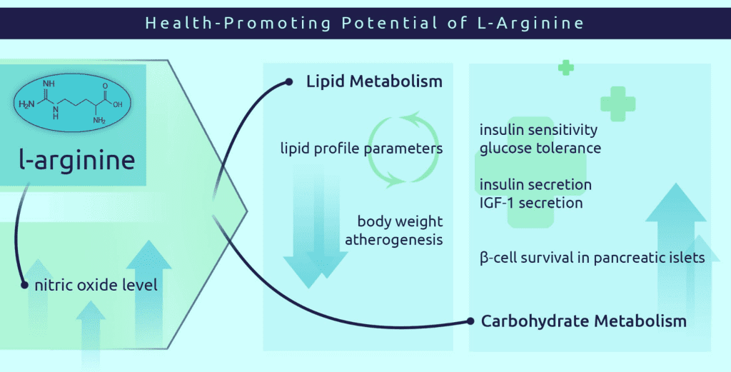 L-arginina y múltiples beneficios