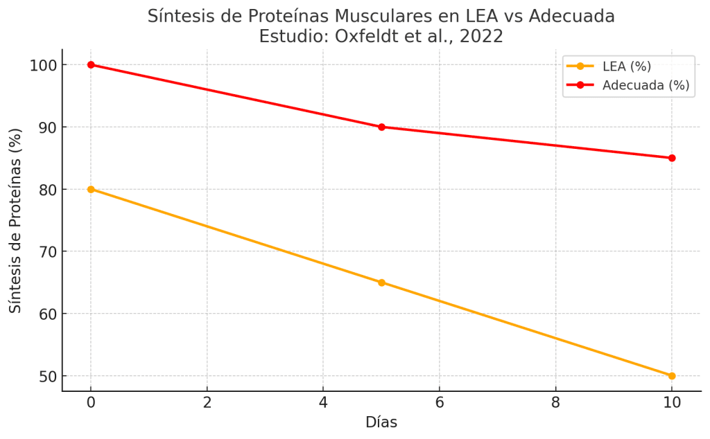 Síntesis de proteínas musculares
