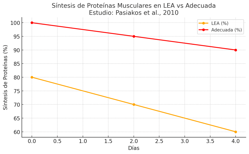 Síntesis de proteínas musculares