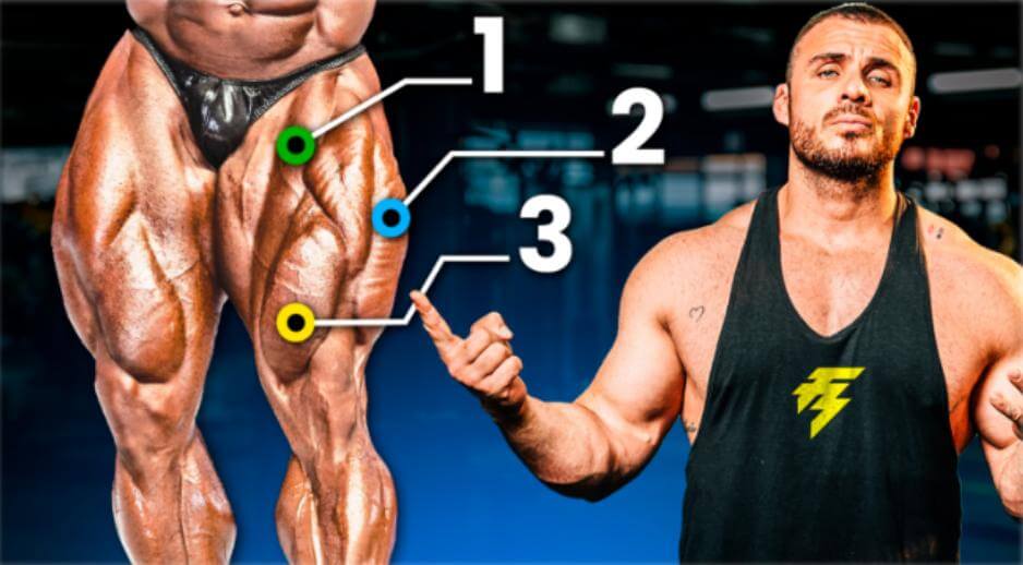Cómo desarrollar cuádriceps fuertes y estéticos (basado en ciencia) 1 Cuádriceps fuertes y estéticos