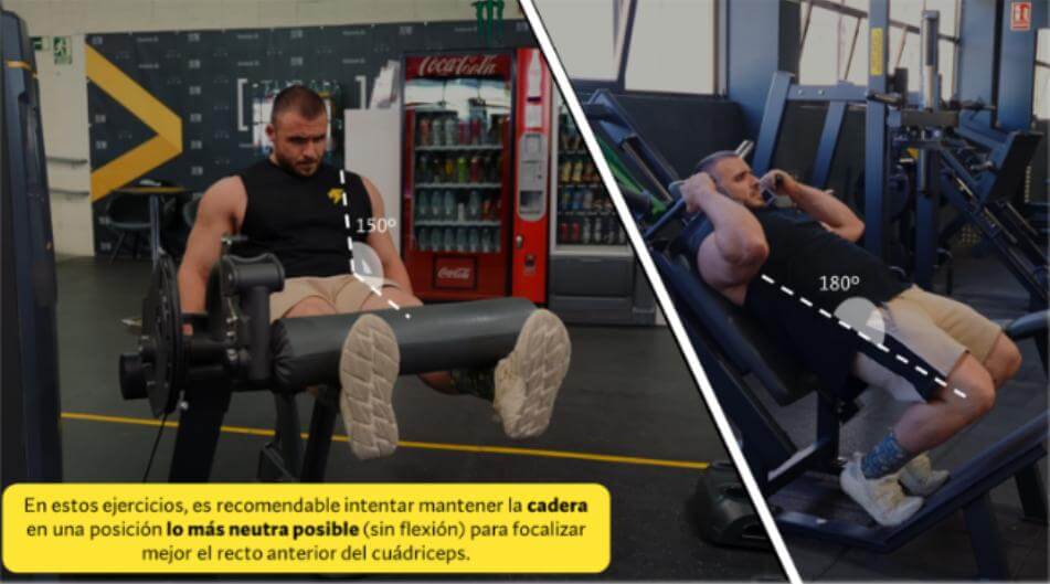Cómo desarrollar cuádriceps fuertes y estéticos (basado en ciencia) 15 desarrollar cuadriceps 5