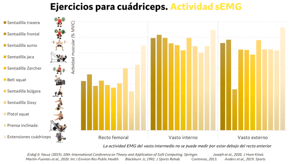 Cómo desarrollar cuádriceps fuertes y estéticos (basado en ciencia) 17 Activación electromiográfica de cuádriceps